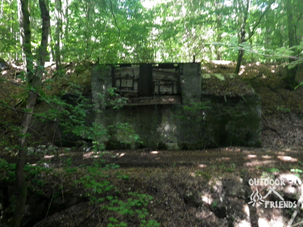 IMGP2140