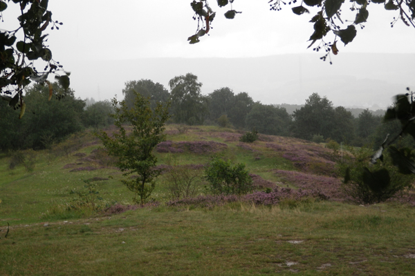 IMGP0254