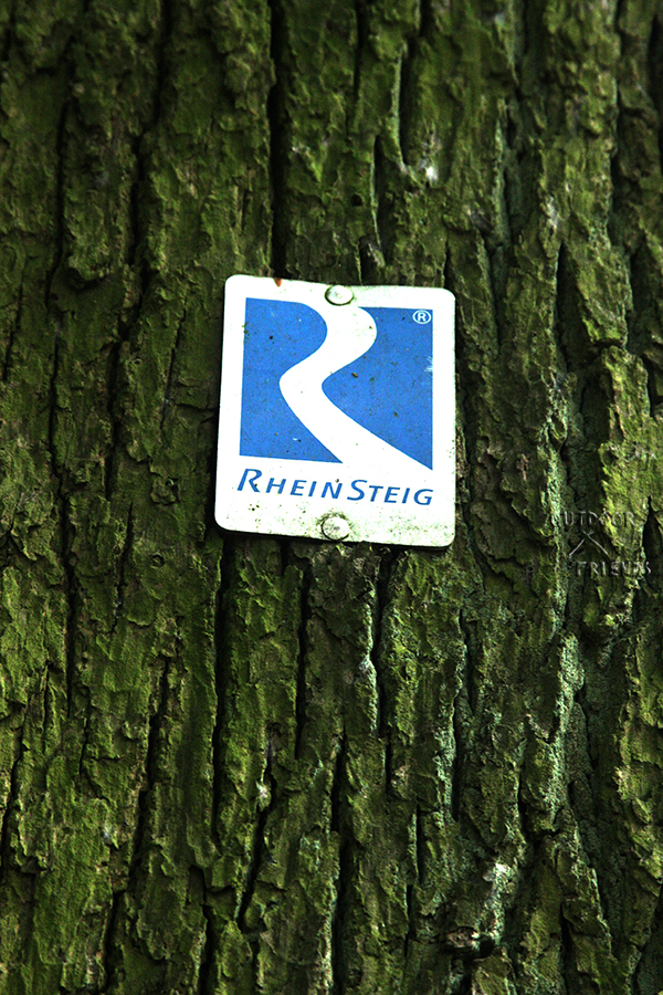 IMG_6645